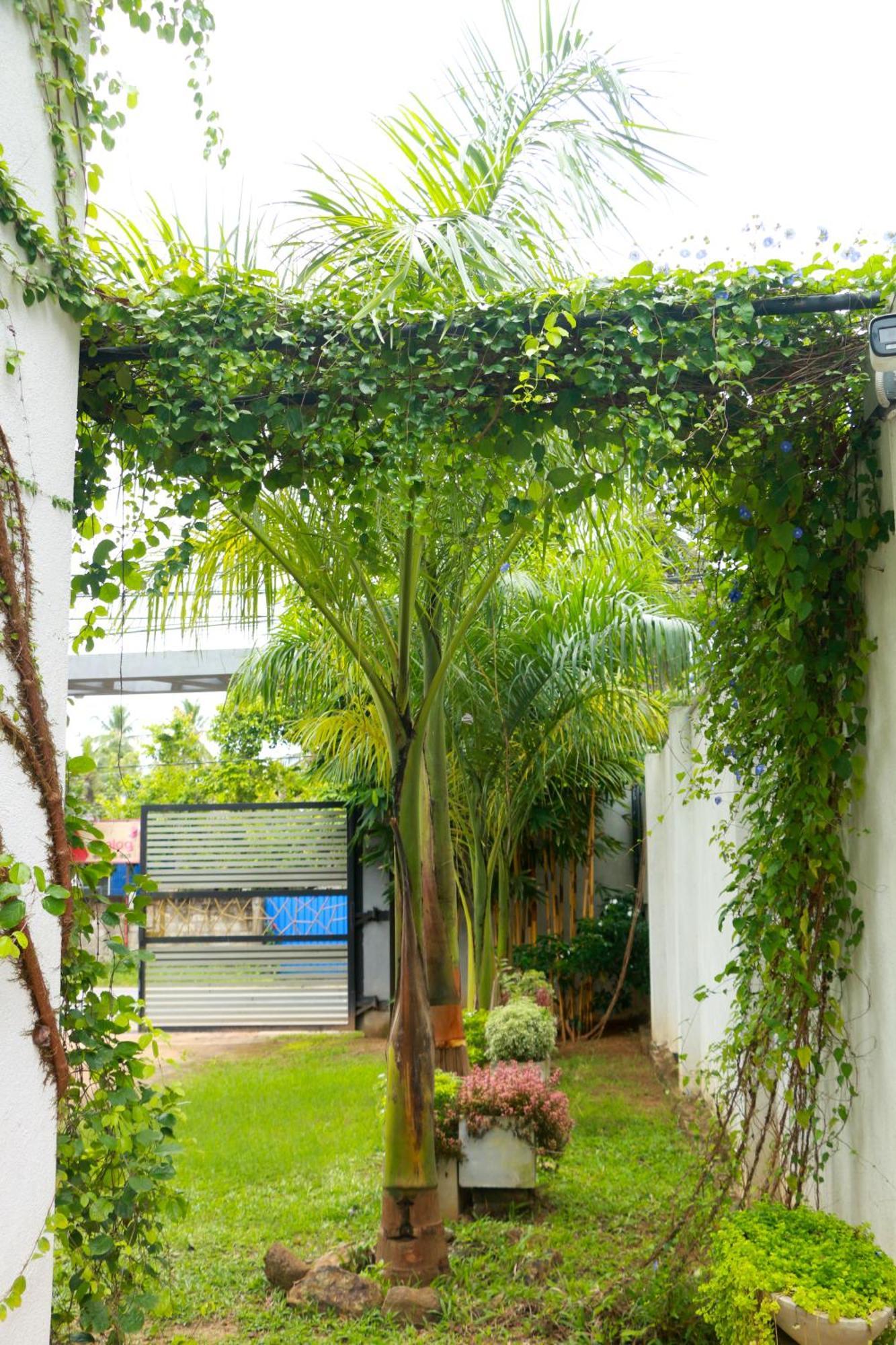 Venus Heaven Luxurious Villa 坦加拉 外观 照片